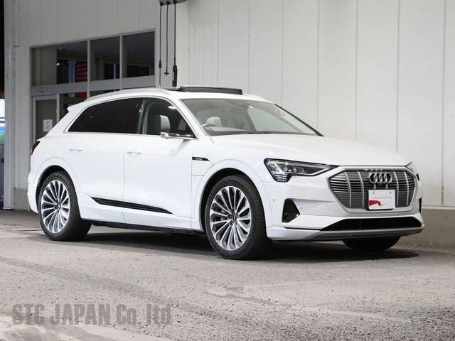 Audi E-tron 2021 occ Image